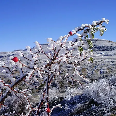 Venta Liara Maison d'hôtes 3*