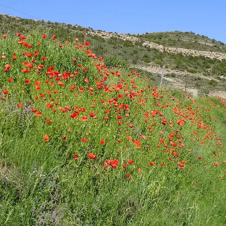 בית הארחה Venta Liara Allepuz