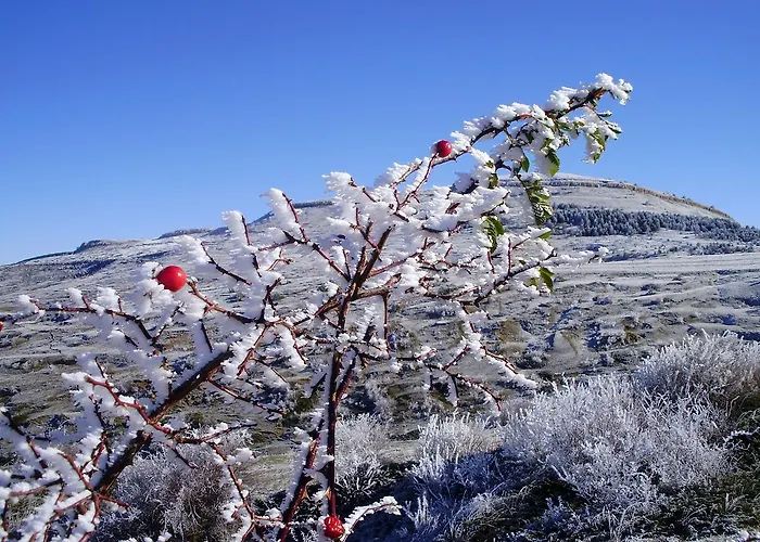 Venta Liara بيت ضيافة 3*