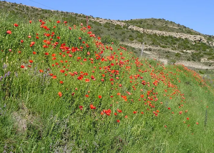 בית הארחה Venta Liara Allepuz